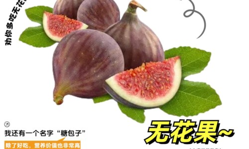 无花果的功效与作用及禁忌有哪些