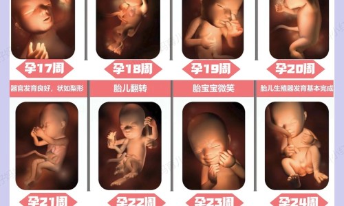 乙肝患者可以吃茄子吗-乙肝患者可以吃茄子吗-天津格林国际幼儿园学费,中国孕妇出生前有啥征兆网站