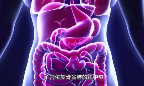 乙肝患者可以吃茄子吗-天津格林国际幼儿园学费,中国孕妇出生前有啥征兆网站