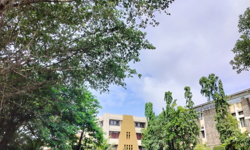 乙肝患者可以吃茄子吗-天津格林国际幼儿园学费,中国孕妇出生前有啥征兆网站